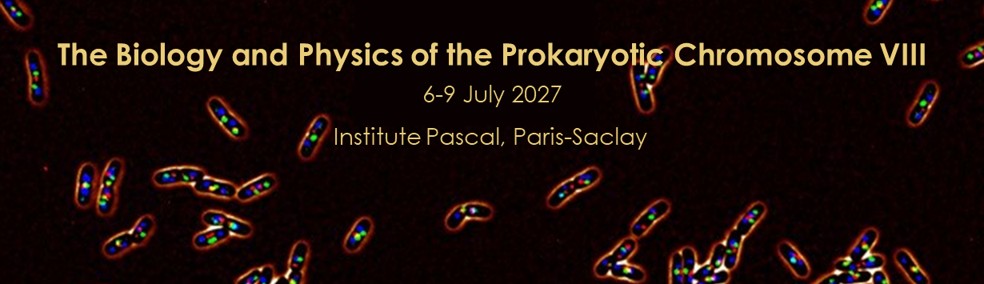 The Biology and Physics of Prokaryotic Chromosomes VIII>